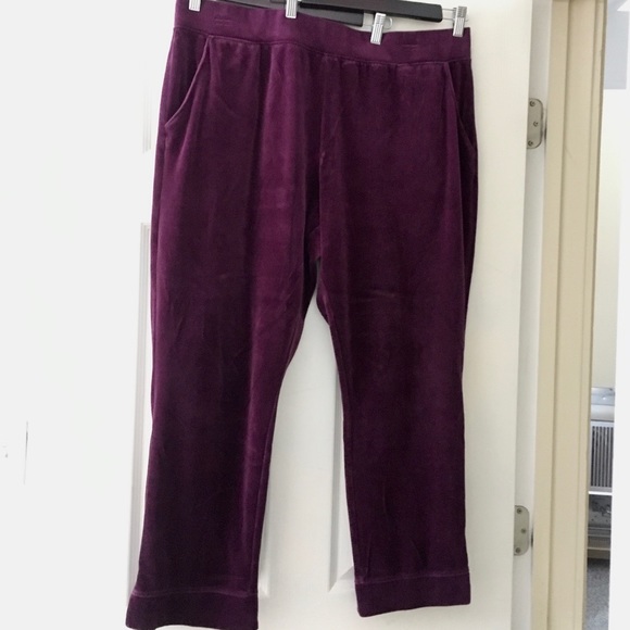Denim & Co. Active, Velour Ankle Pants with Pockets, XL - Picture 2 of 5